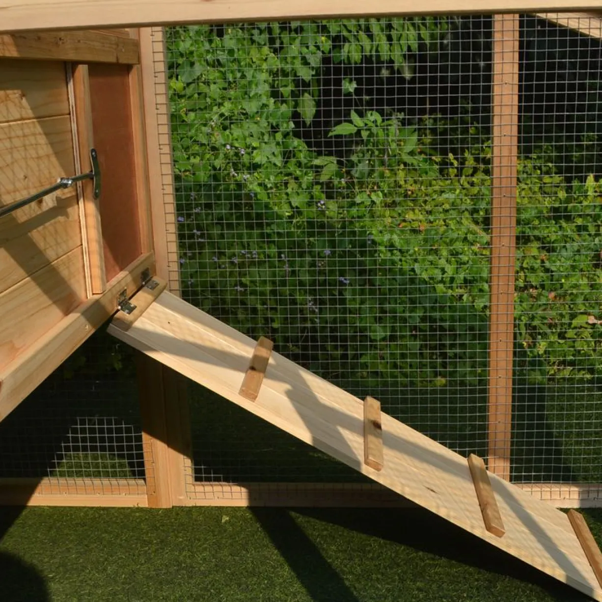 Poulailler Soie toit shingle et polycarbonate jusqu’à 6 poules