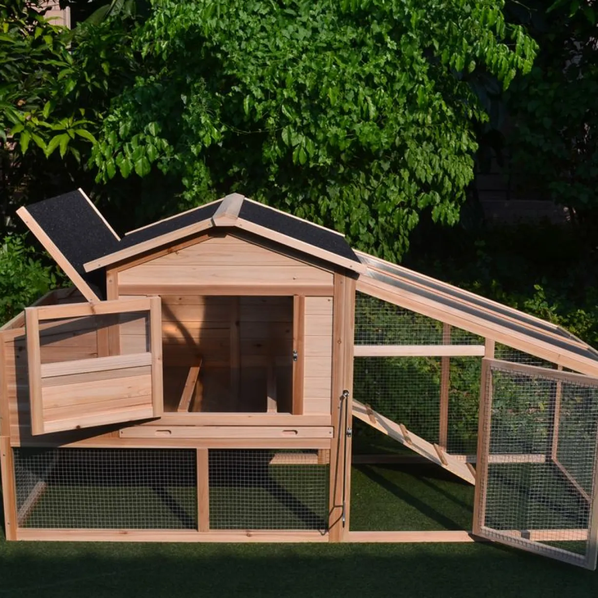 Poulailler Soie toit shingle et polycarbonate jusqu’à 6 poules