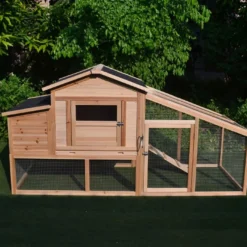 Poulailler Soie toit shingle et polycarbonate jusqu’à 6 poules