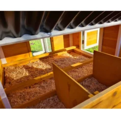 Poulailler Toit Renforcé M toit plastique jusqu’à 8 poules