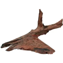 Racine mangrove 25/33cm - Zolux