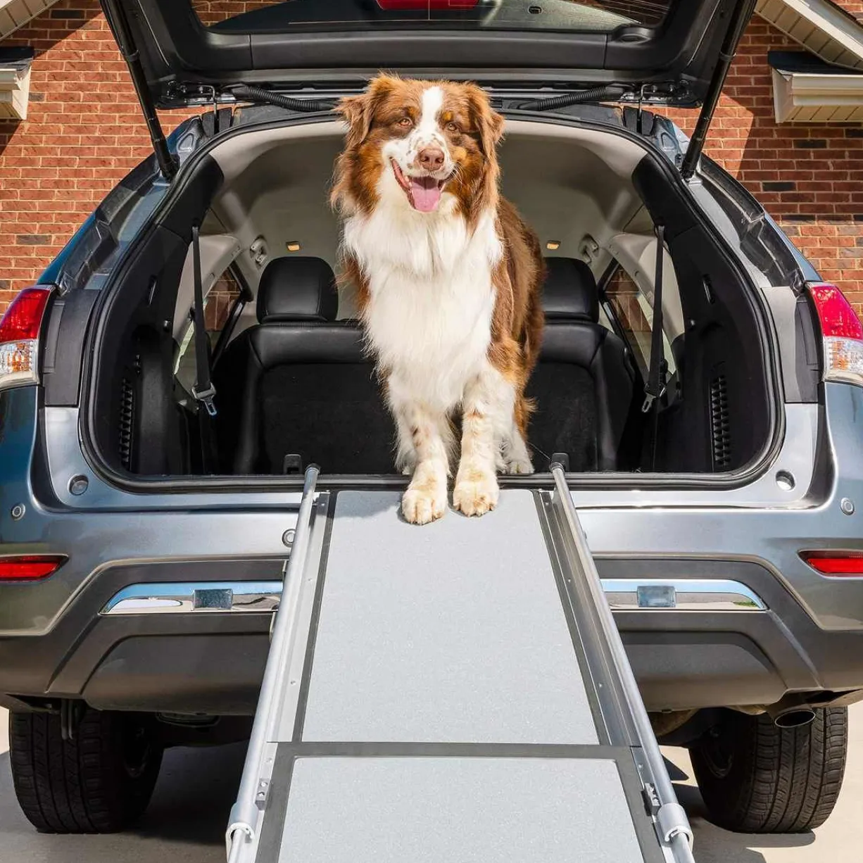 Rampe télescopique chien Happy Ride - PetSafe