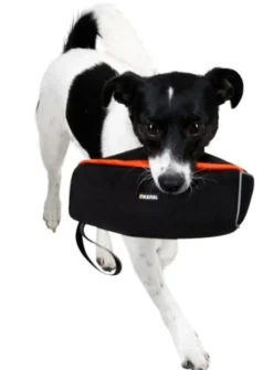 Rouleau d’apprentissage pour chiens noir/orange 23 x 7 x 7 cm - Kerbl