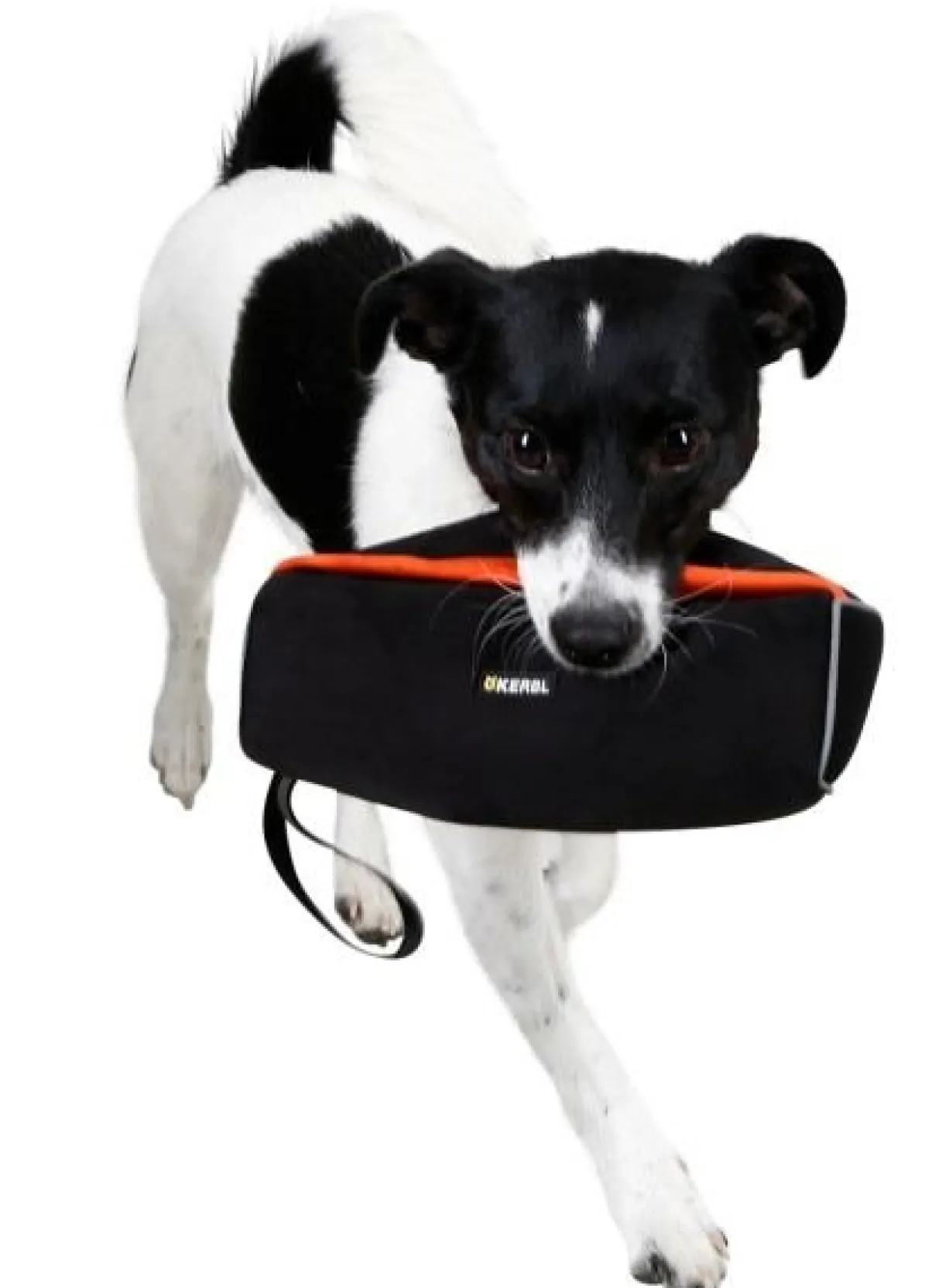 Rouleau d’apprentissage pour chiens noir/orange 23 x 7 x 7 cm - Kerbl
