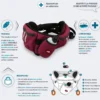 Sac ceinture chien Bivouak bleue - Zolux