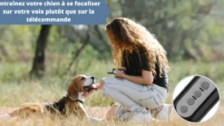 Système de dressage jusqu'à 3 chiens 400m