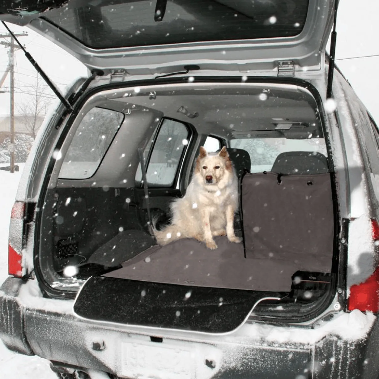 Tapis de coffre de voiture Cargo Cape – Kurgo