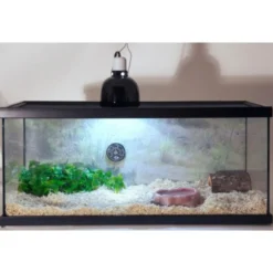 Terrarium équipé 76x30x30cm Reptihabitat Serpent NT-S21 - Zoo Med