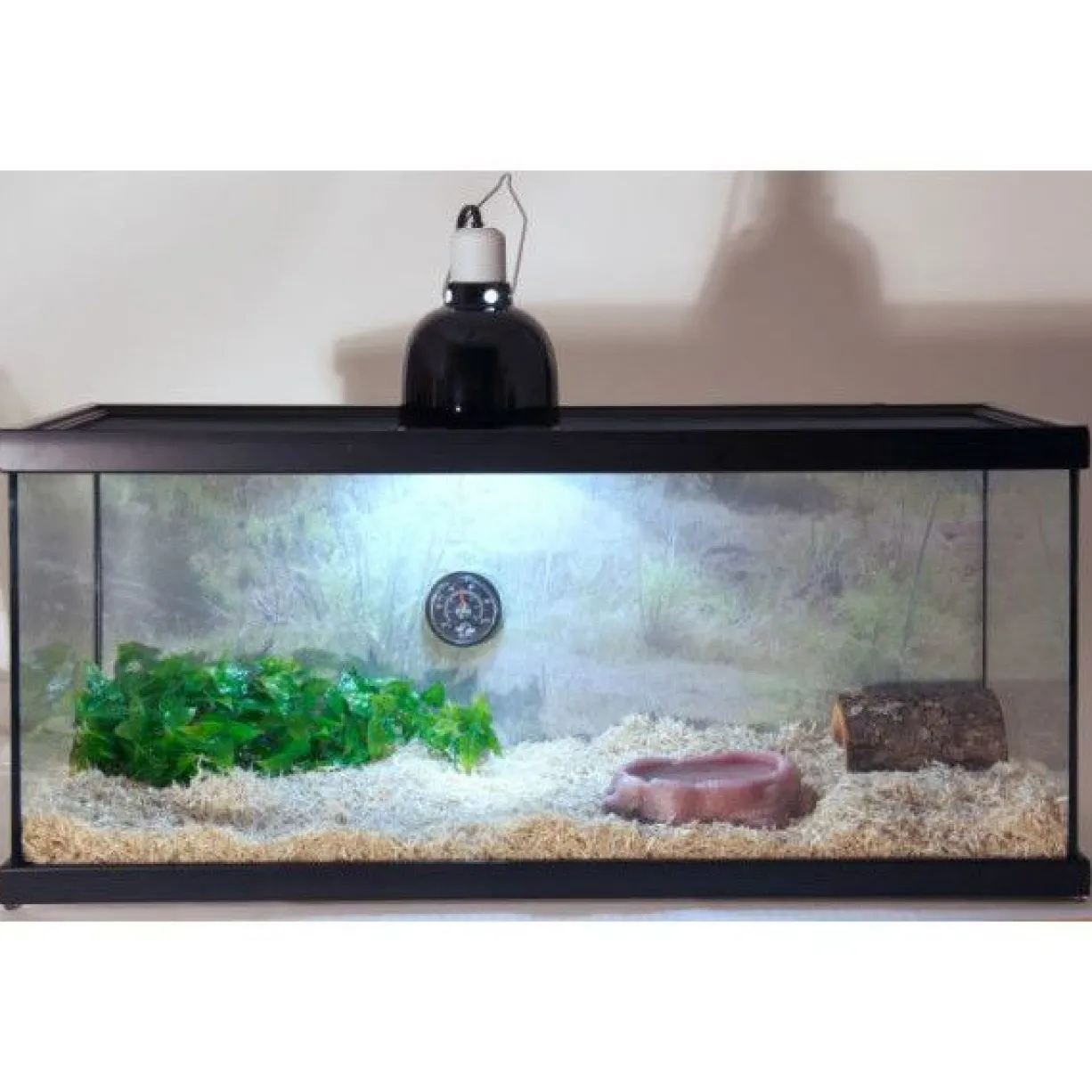 Terrarium équipé 76x30x30cm Reptihabitat Serpent NT-S21 - Zoo Med