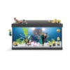 Tetra Starter Line Aquarium Minions 54L