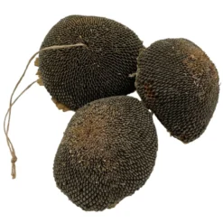 Tête de tournesol à picorer oiseaux du jardin 30g - Octave Bauchant