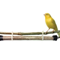 Tube diffuseur Prevorus pour produits biologiques oiseaux et reptile Androlis et Taurrus - Bestico