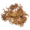 Vers de farine déshydratés 100g - Invers